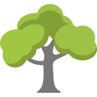 Kenner Tree Removal