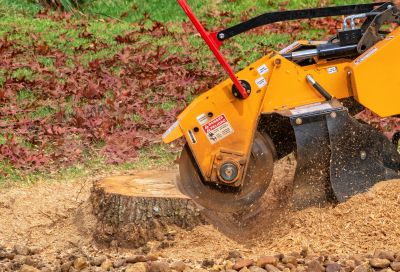 Stump Grinding Techniques